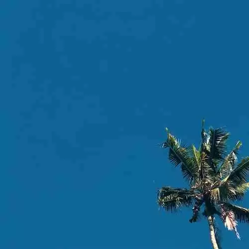 Mengenal Lebih Dekat Budaya Lokal: Wisata Kuliner di Setiap Provinsi di Indonesia