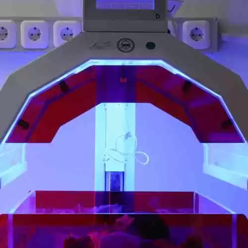 Meningkatkan Kesehatan Tubuh dengan Olahraga di Rumah