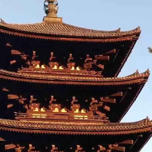 Menjelajahi Jepang: Destinasi Wisata Terbaik untuk Pengalaman Budaya yang Tak Terlupakan