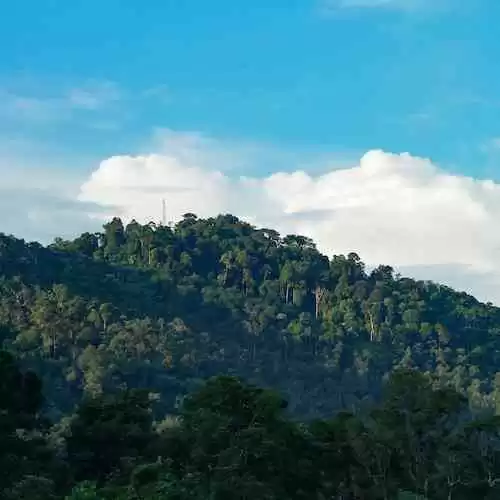 Sisi Gelap Humaniora: Apa yang Tidak Dikatakan Di Balik Kebenaran Kemanusiaan