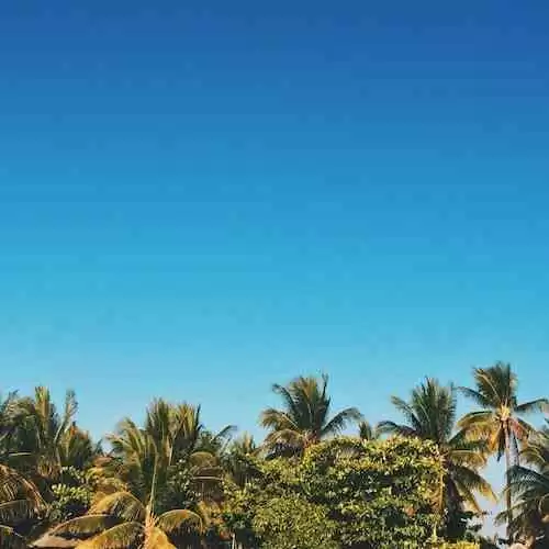 Suara Rakyat: Pilar Demokrasi yang Harus Diapresiasi