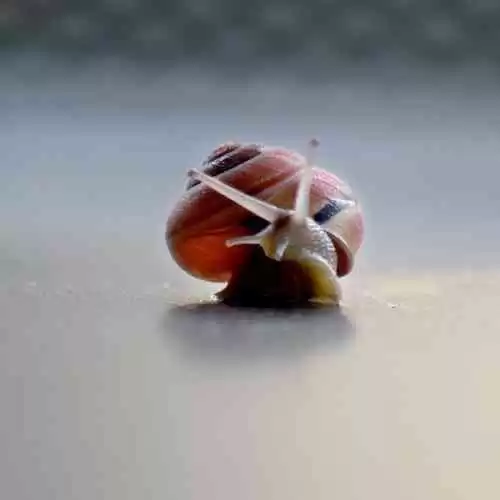 10 Tips Hemat Backpacker Saat Berlibur ke Luar Negeri