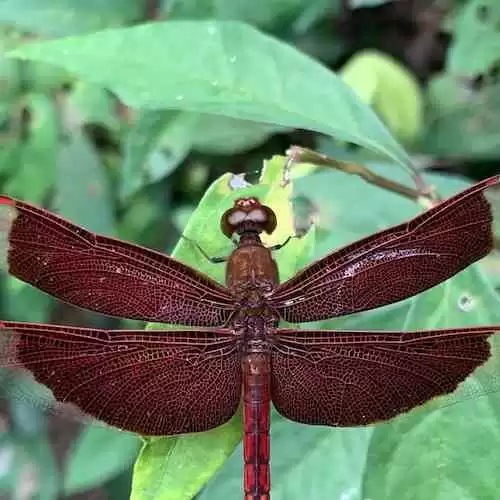 5 Tempat Backpacker Wajib Dikunjungi di Indonesia