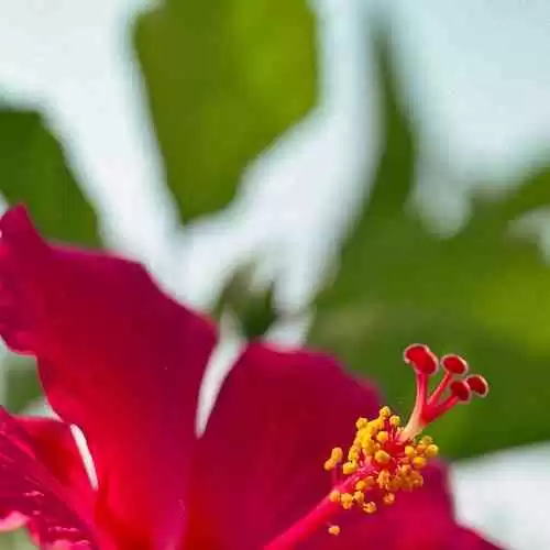 Apa itu Sistem Pengereman Otomatis? Bagaimana Sistem Ini Bekerja?