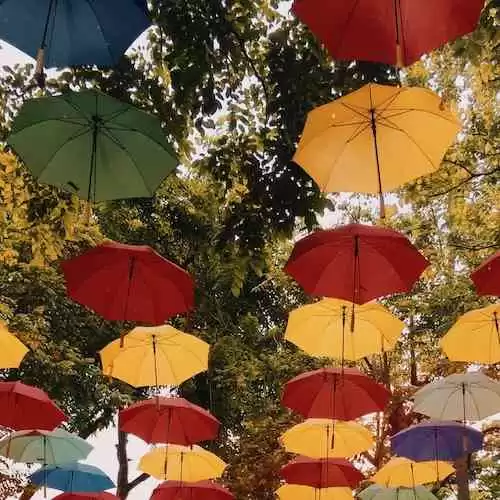 Bola Sepak, Sejarah dan Perkembangannya Hingga Menjadi Olahraga Paling Populer di Dunia