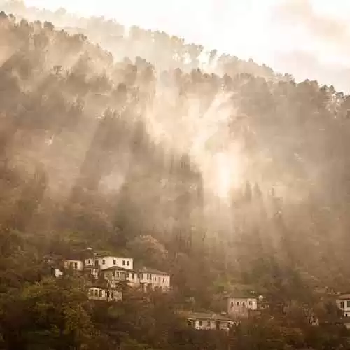 Cara Mudah Menurunkan Berat Badan Tanpa Harus Diet Ketat