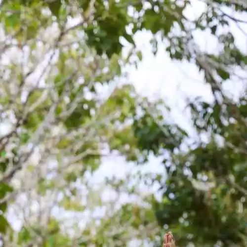 Exploring the Impact of Tim Keller and Hank Gree on Contemporary Christian Thought