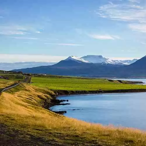 From Track to Field: Tori Bowie's Inspiring Journey to Becoming an Olympic Champion