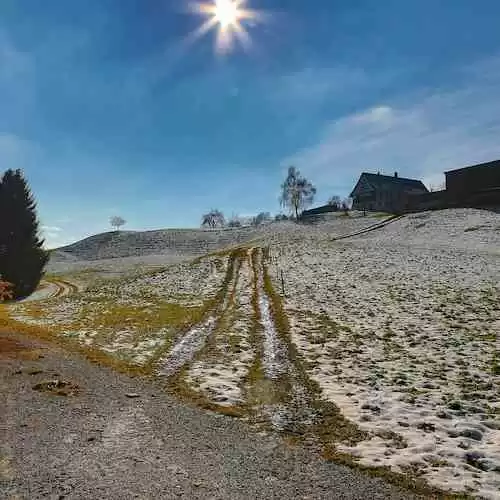 Killing Them Softly: A Gripping Crime Thriller That Will Leave You Breathless