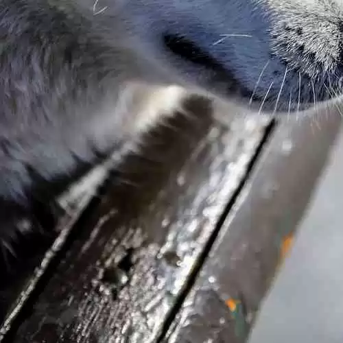 Matty Healy: Profil dan Perjalanan Karir Vokalis The 1975