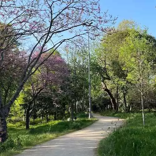 Membangun Demokrasi yang Lebih Inklusif: Solusi untuk Mengatasi Ketimpangan Sosial