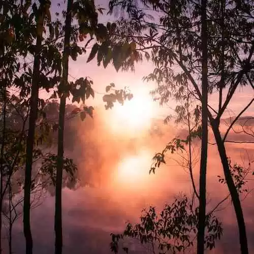 Mendalami Nilai-Nilai Sosial dalam Upacara Adat di Indonesia