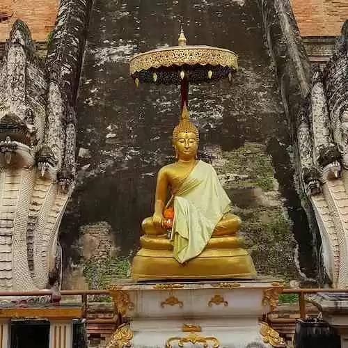 Mengatasi Kebosanan dengan Hobi: Ide Kreatif untuk Mengisi Waktu Luang Anda