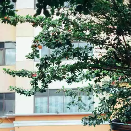 Mengenal 5 Atlet Esports Indonesia dengan Prestasi Internasional yang Menginspirasi