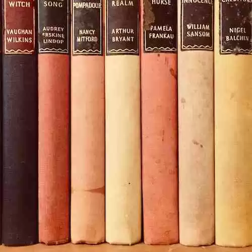 Mengenal Jenis-jenis Novel Populer: Apa yang Membuat Mereka Berbeda?