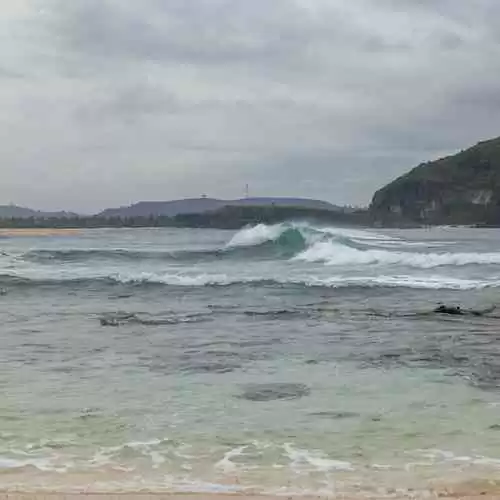 Mengenal Lebih Dekat Kawasan Wisata Alam Tanjung Puting