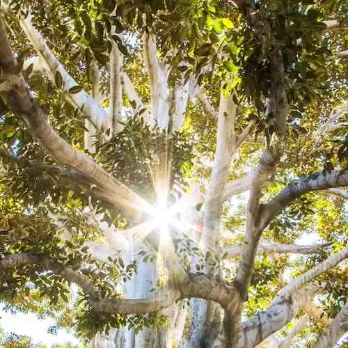 MP Board 10th Result 2023: Know the Latest Updates and Check Your Scorecard Here!