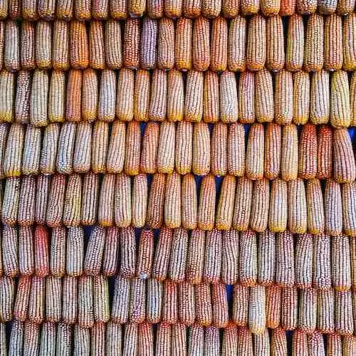 Peringatan Hari Pendidikan Nasional: Meningkatkan Minat Baca Masyarakat