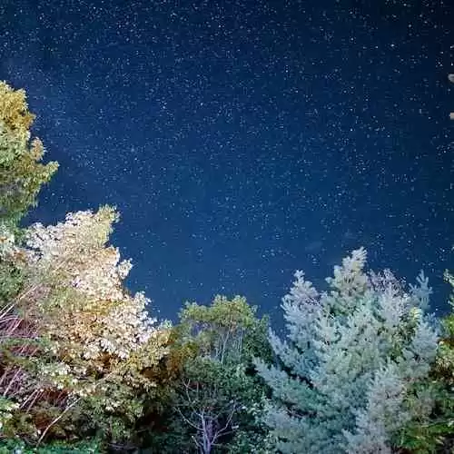 Rocking the Galaxy: Matty Healy Pays Tribute to Star Wars on May the 4th