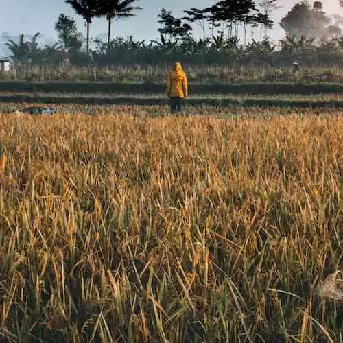 RUU Kesehatan Terbaru: Apa yang Perlu Anda Ketahui tentang Perubahan Kebijakan Kesehatan di Indonesia