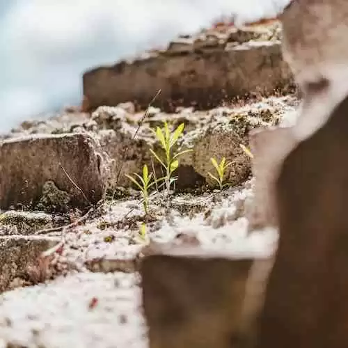 The Force is Strong with Matty Healy: Celebrating May the 4th with The 1975 Frontman