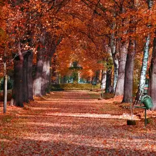 Tips Membaca Novel dengan Efektif: Bagaimana Meningkatkan Pemahaman Anda?