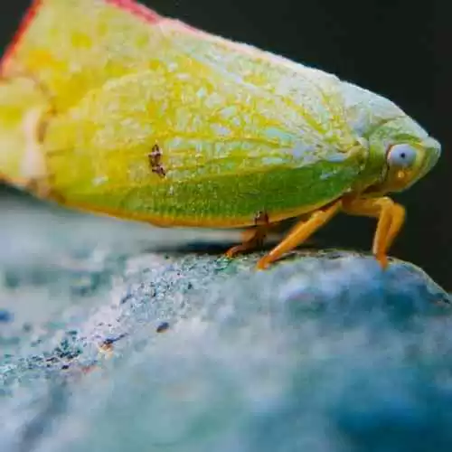 5 Teknologi Canggih yang Membuat Kendaraan Semakin Aman dan Nyaman