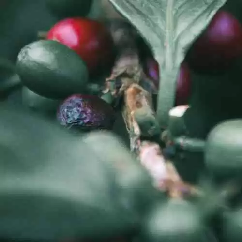 5 Ucapan Waisak 2023 yang Menginspirasi dan Penuh Makna