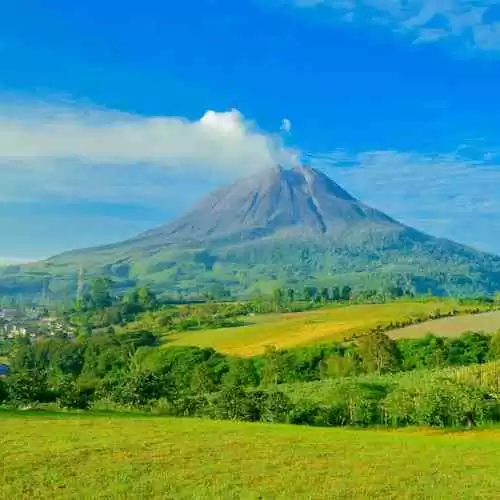 7 Aktivitas Menarik yang Bisa Dilakukan Saat Berkunjung ke Taman Wisata Alam Gunung Gede Pangrango
