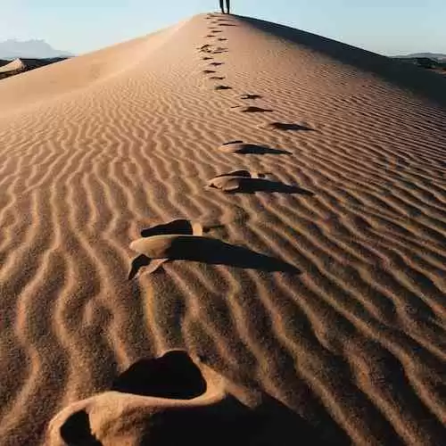 From Die Hard to That 70's Show: Exploring the Versatility of Bruce Willis and Danny Masterson's Acting Abilities