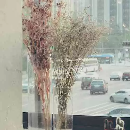 Jisoo BLACKPINK: Menggali Fakta Menarik Mengenai Visual Cantik dari Korea Selatan