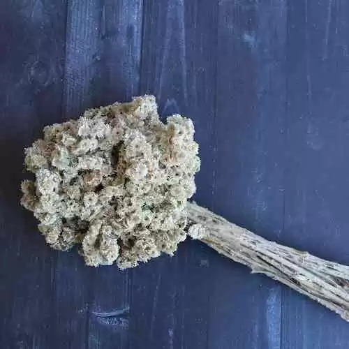 Menerapkan Analisis Teknis untuk Meningkatkan Kualitas Produk Anda