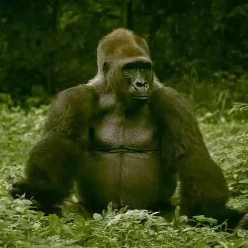 Mengenal Jenis-jenis Transportasi yang Ada di Indonesia dan Kelebihannya