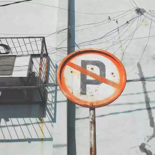 Mengunjungi Hutan yang Memukau di Indonesia