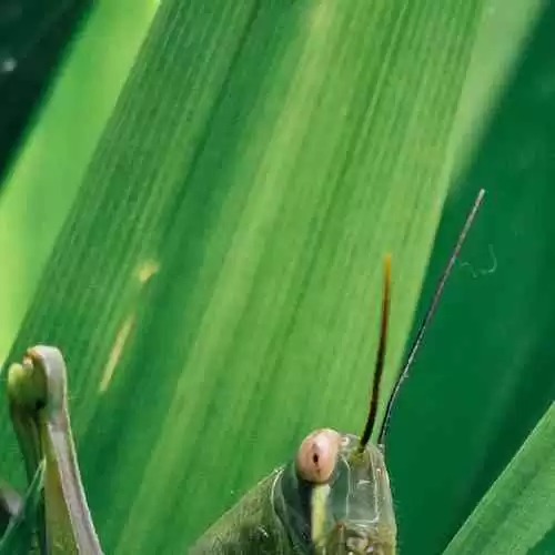 Meningkatkan Kemampuan Berbahasa dengan Memanfaatkan Teknologi Terkini