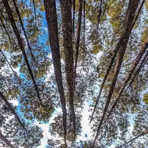 Panduan Berlibur dengan Anak: Tips Menyenangkan Liburan Keluarga