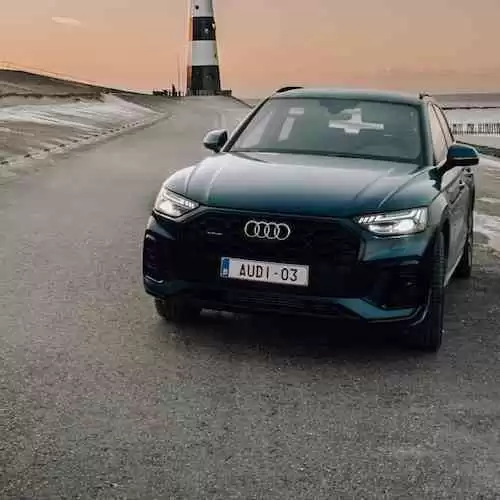 Review Mesin Potong Rumput Mac Allister: Kinerja, Spesifikasi, dan Harga