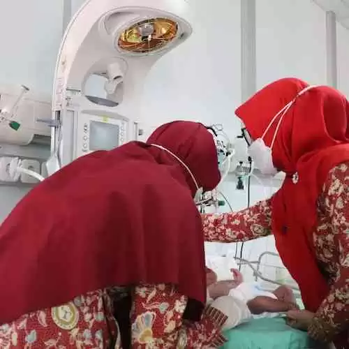 Peralatan Bulutangkis Terbaik: Memilih Raket dan Shuttlecock yang Tepat untuk Performa Terbaik