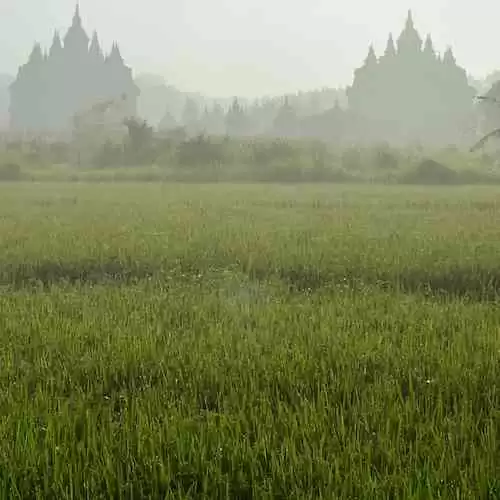 Perempuan Hebat dalam Sejarah: Kisah Inspiratif yang Jarang Diceritakan