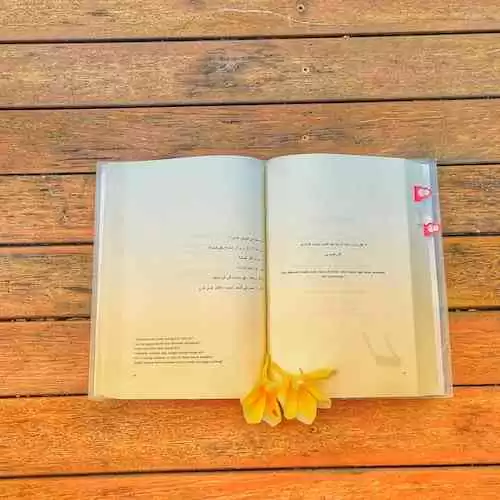 Menciptakan Puisi yang Memikat: Rahasia Menggunakan Imaji dan Metafora