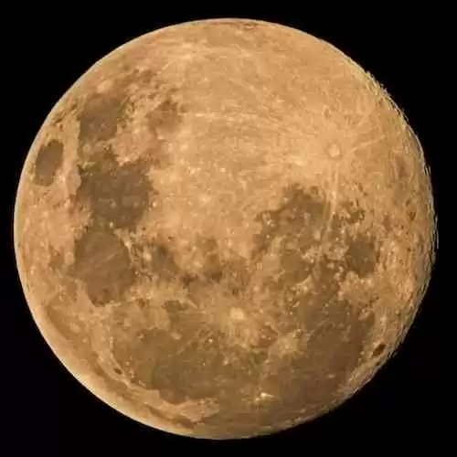 Tips dan Trik Menulis Puisi yang Menggetarkan Hati Pembaca