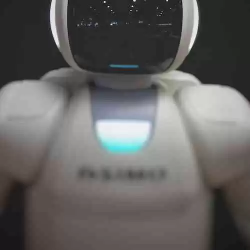 Unveiling the Political Strategies: How Donald Trump and Remi Lucidi Are Shaping the Future