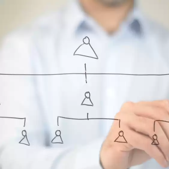 Ketahui Fungsi Struktur Organisasi Lengkap dengan Contohnya