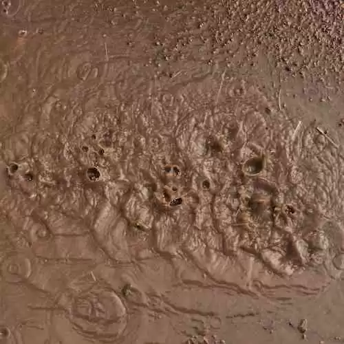 Lille: Klub Sepak Bola Prancis yang Menjadi Sorotan dengan Prestasi dan Talenta Muda