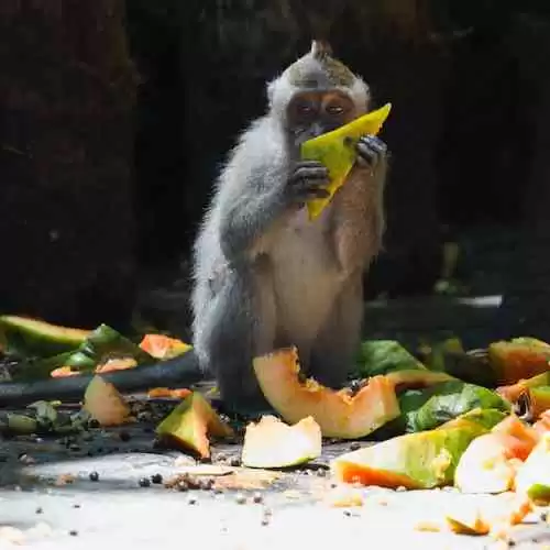 G30SPKI: Bulan September Menjadi Momen Penting dalam Sejarah Indonesia