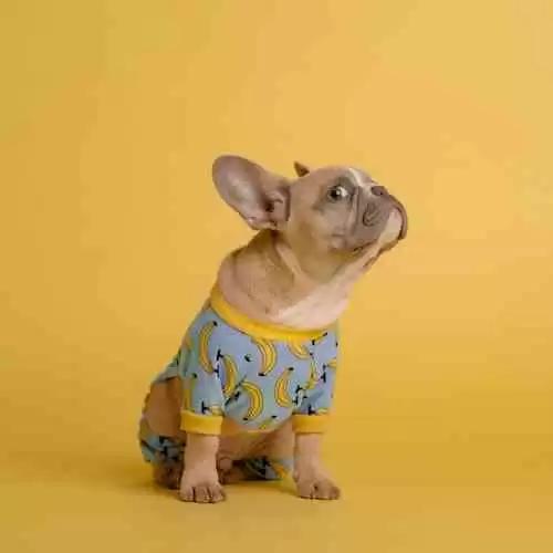 Mengapa Memahami Aspirasi Target Audiens Penting dalam Strategi SEO?