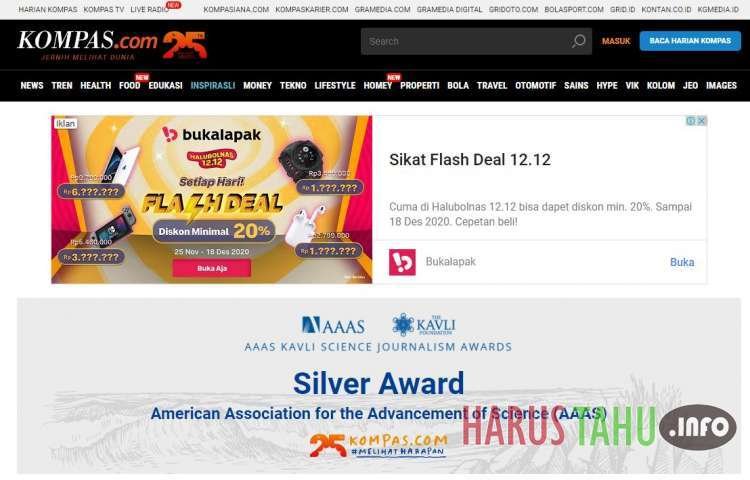 Ini Penampakan Situs Portal Berita Indonesia Saat Pertama Kali Diluncurkan, Simple Banget!