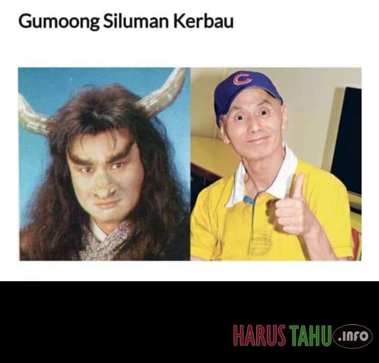 Ganteng dan Cantik, Lihat Pemeran Asli dalam Cerita Serial Drama Kera Sakti