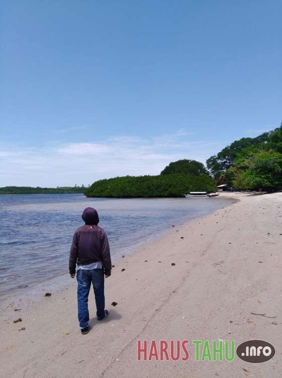 Baluran, Africa Kecil Yang Indah Di Ujung Timur Pulau Jawa